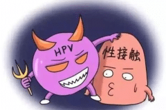 hpv阳性是什么意思?