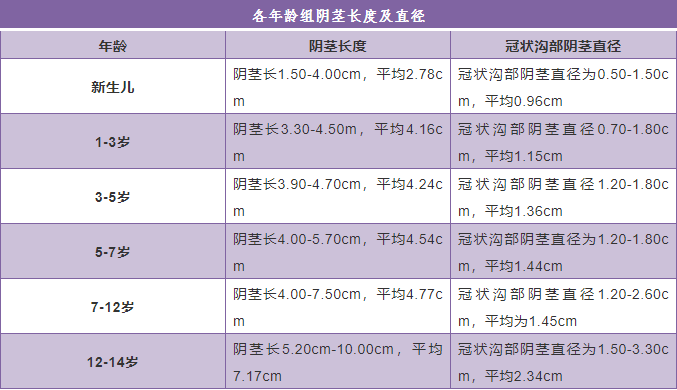 0-40岁，阴茎从小到大是如何发育的？(图3)